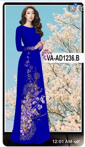 Vải áo dài đặt in