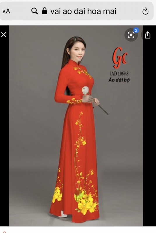 Vải áo dài đặt in