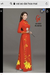 Vải áo dài đặt in