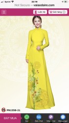 Vải áo dài đặt in