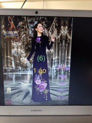 Vải áo dài đặt in