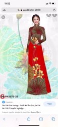 Vải áo dài đặt in