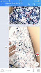 Vải áo dài đặt in