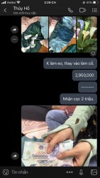 Vải áo dài đặt in