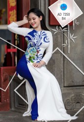 Vải áo dài đặt in