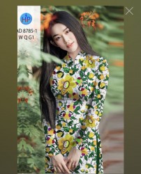 Vải áo dài đặt in