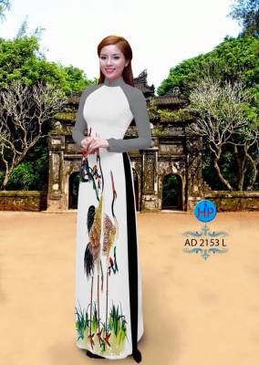 Vải áo dài chim cò-DT 1935